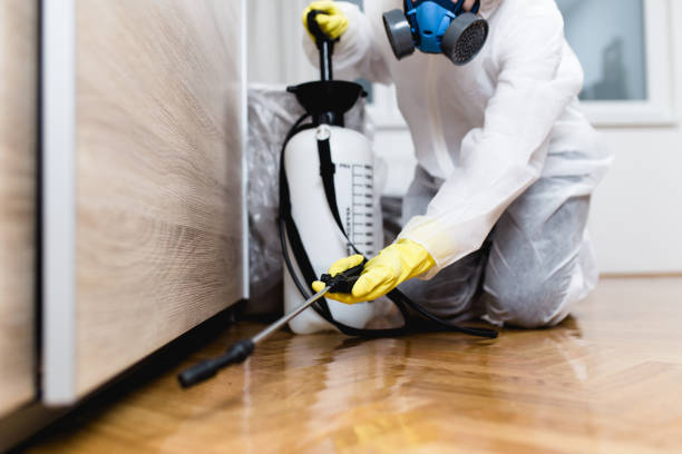 Wasp Removal Services in Roland, AR