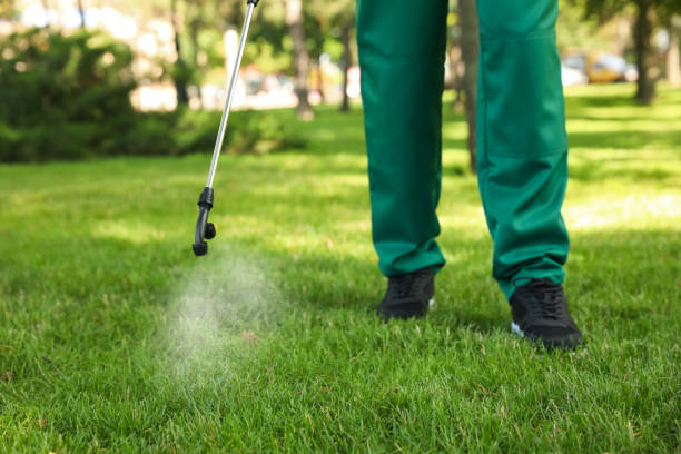 Best Local Pest Control Services  in Roland, AR