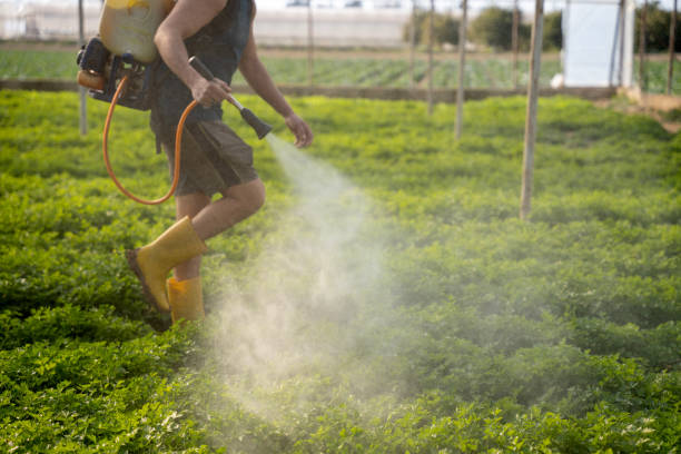 Best Best Pest Control Companies  in Roland, AR