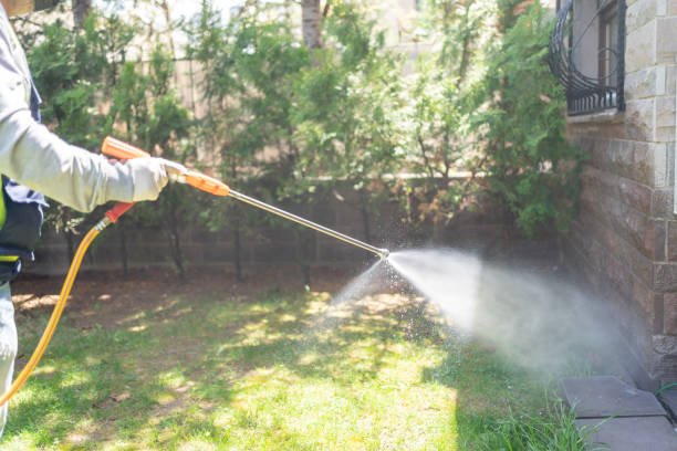 Trusted Roland, AR Pest Control Experts