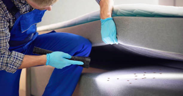 Best Pest Control Near Me  in Roland, AR