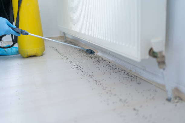 Best Affordable Pest Control Services  in Roland, AR