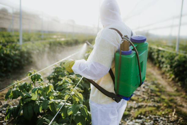 Best Pest Prevention Services  in Roland, AR